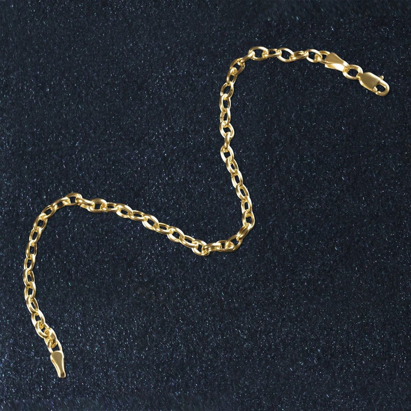 14k Yellow Gold Oval Rolo Bracelet (3.20 mm) Product Image