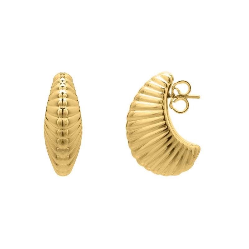 Puffy Graduated Ribbed Shell Hoop Earrings in 14K Yellow Gold 14K yellow gold puffy graduated ribbed shell hoop earrings