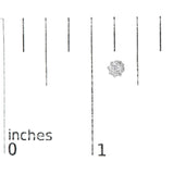 14K White Gold 1.0 Cttw Lab-Grown Diamond 8 Prong Hidden Halo Stud Earrings (F-G Color, VS1-VS2 Clarity)-4 thumbnail 5
