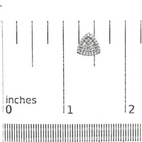 14K White Gold 1/2 cttw Trillion Shaped Diamond Stud Earrings (H-I Clarity, SI2-I1 Color)