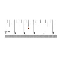 14K White Gold 1/2 Cttw Lab-Grown Round Brilliant-Cut Colored Diamond Classic 3-Prong Martini set Stud Earrings (VS1-VS2 Clarity)-4