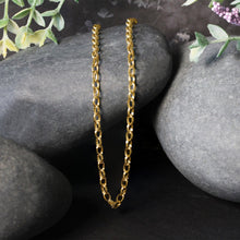 Load image into Gallery viewer, 14k Yellow Gold Oval Rolo Chain (3.20 mm)