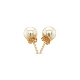 Product Image thumbnail 15
