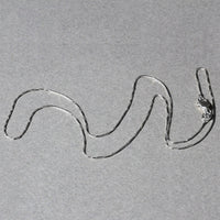 18k White Gold Box Chain 0.6mm (0.60 mm)