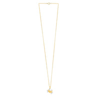 Crab Necklace in 10K Two Tone Yellow Gold