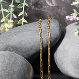 10K Yellow Gold Paperclip Chain (2.50 mm) thumbnail 4