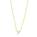 14K yellow gold P initial pendant necklace with mini diamond accents