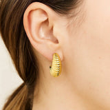 Puffy Graduated Ribbed Shell Hoop Earrings in 14K Yellow Gold thumbnail 3