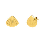 Sea Shell Stud Earrings in 10K Yellow Gold thumbnail 1