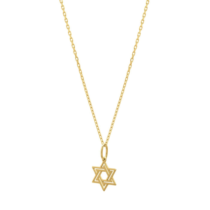 Star of David Necklace in 14K Yellow Gold