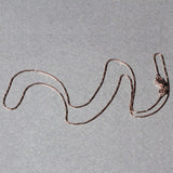 Product Image thumbnail 30