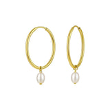 Pearl Drop Oval Earrings in 14K Yellow Gold thumbnail 1