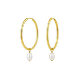 Pearl Drop Oval Earrings in 14K Yellow Gold thumbnail 2