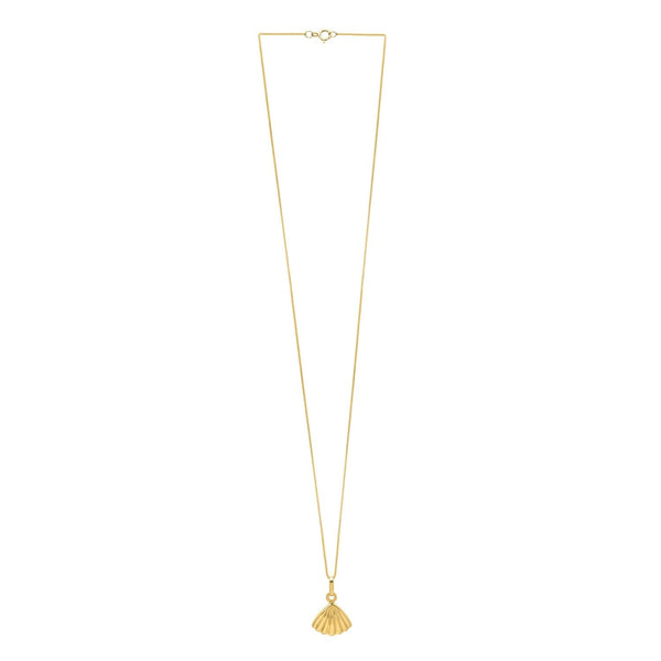 Sea Shell Necklace in 10K Yellow Gold