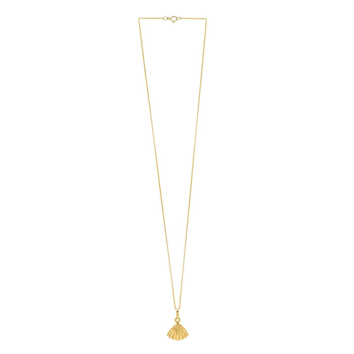 Sea Shell Necklace in 10K Yellow Gold