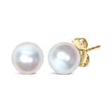 14K Yellow Gold 7-7.5MM Akoya Cultured Pearl Solitaire Stud Earrings-3 thumbnail 4
