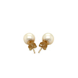 14k Yellow Gold Freshwater Cultured White Pearl Stud Earrings (7.0 mm) thumbnail 3
