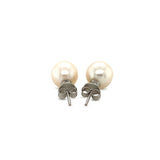 Freshwater Pearl Earrings in Sterling Silver thumbnail 3